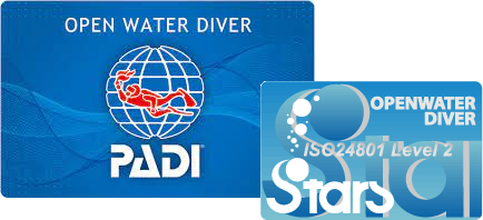 ダイビングライセンス（Cカード）について